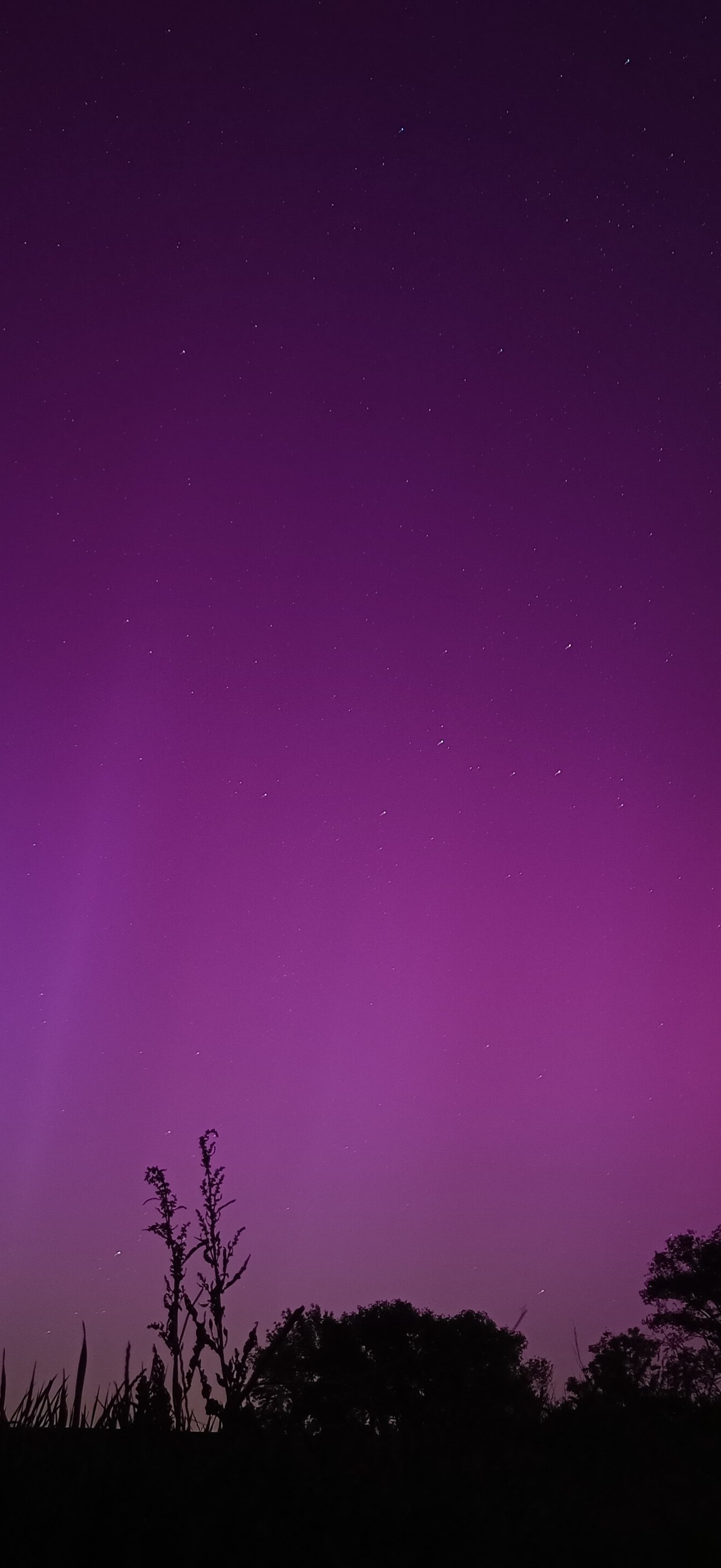 Aurora as seen from Erlangen, Germany (49°N)