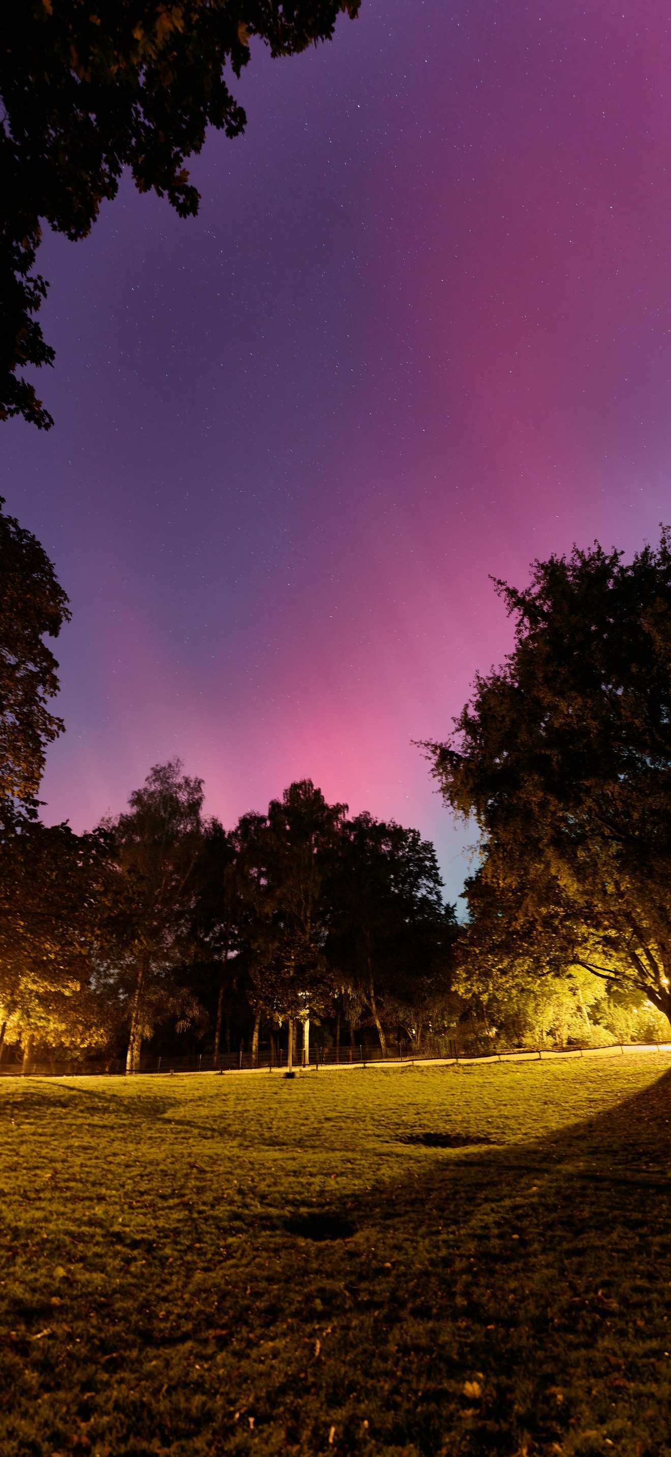 Volkspark Wilmersdorf with aurora