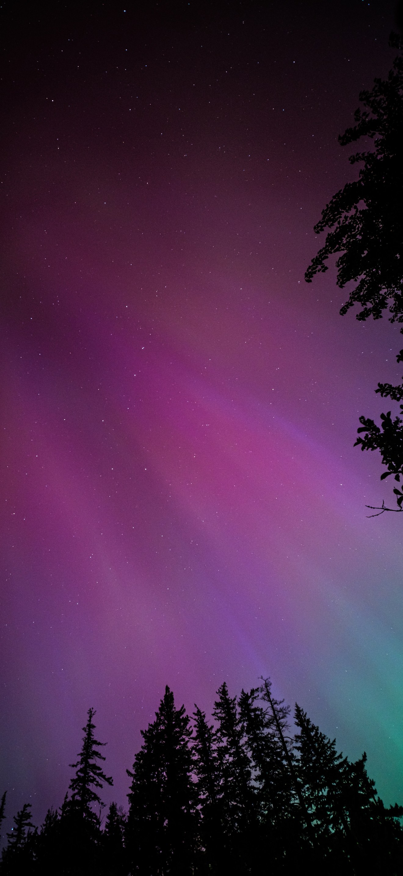Northern Lights From Oregon