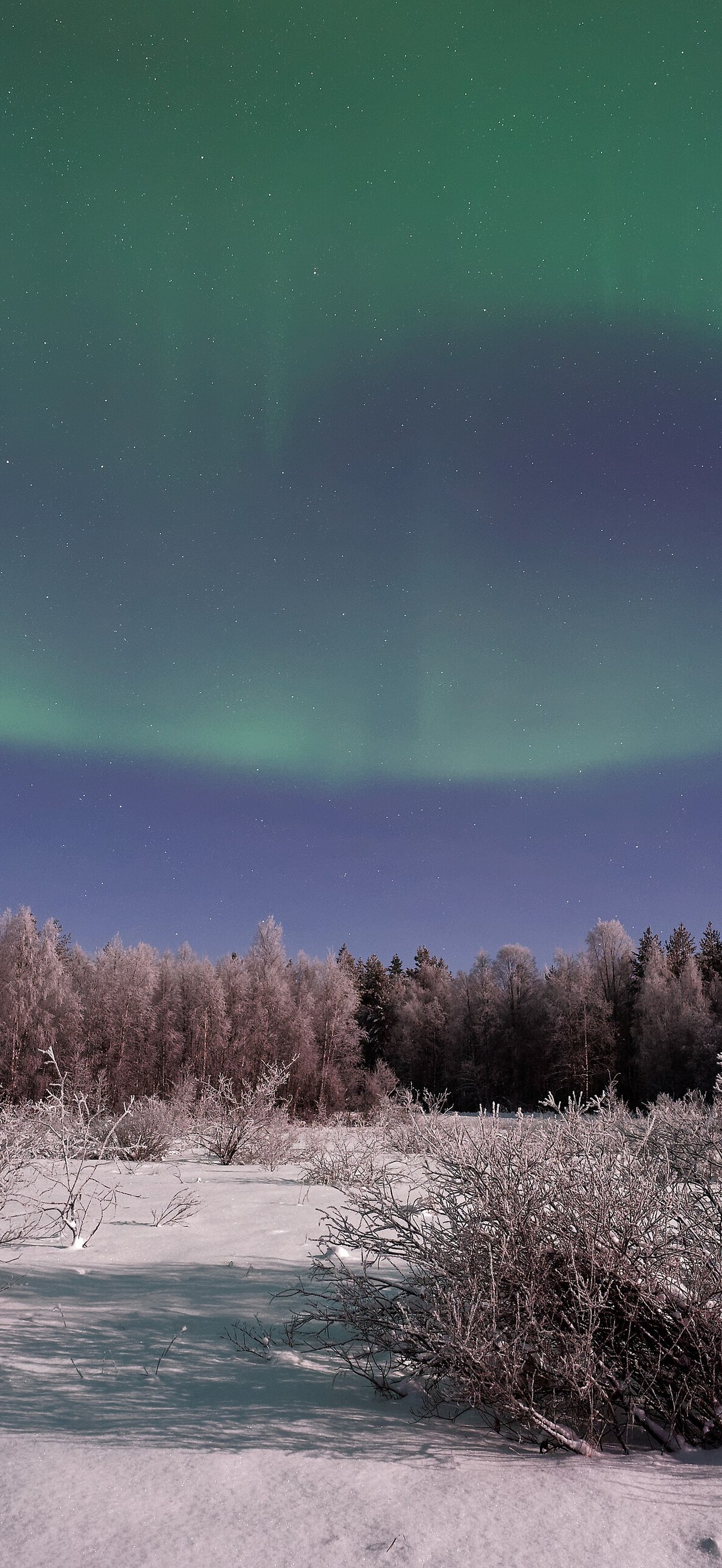 Aurora borealis over Lapland