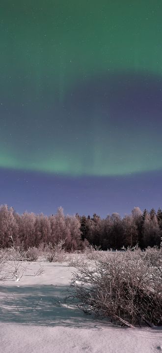 Aurora borealis over Lapland