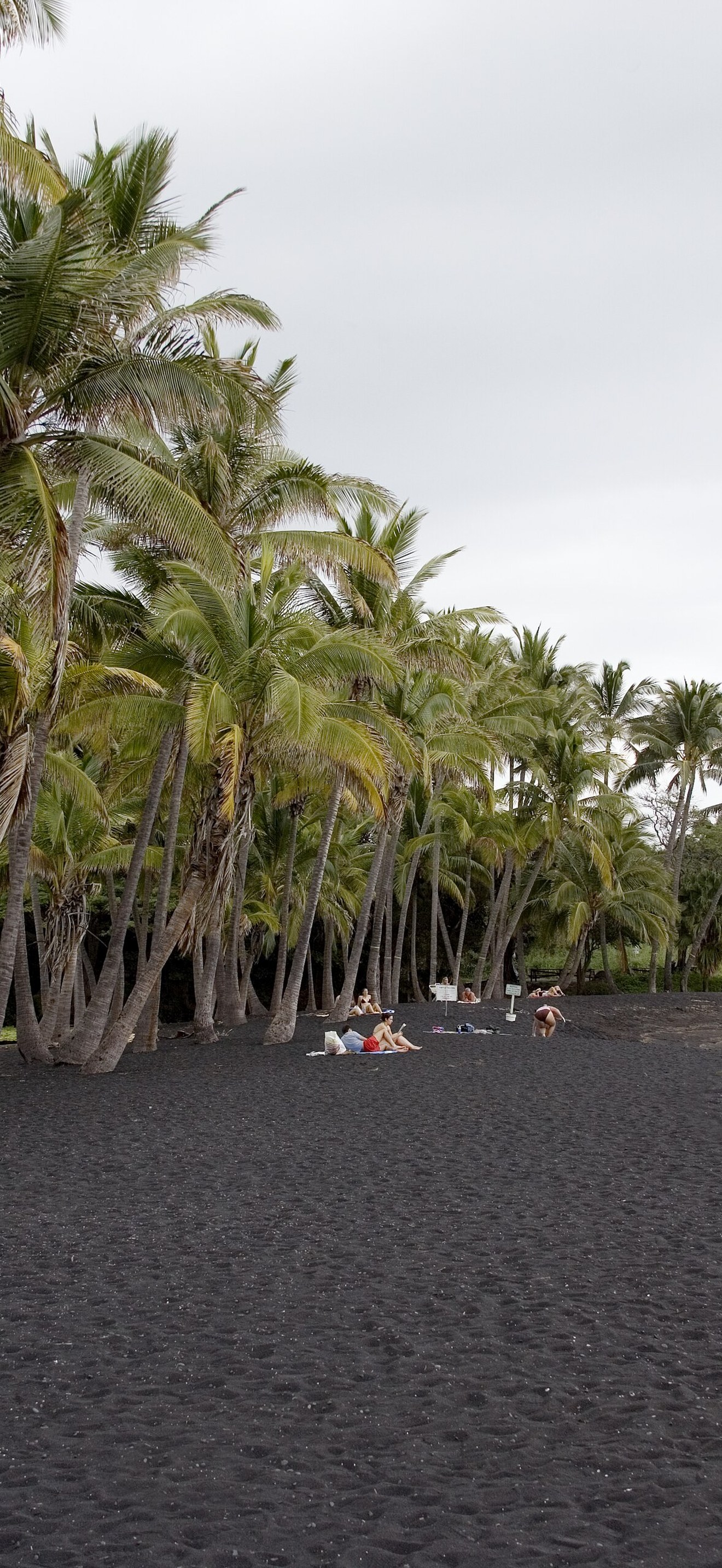 Punalu'u Black Sand Beach on the Big Island, Hawaii