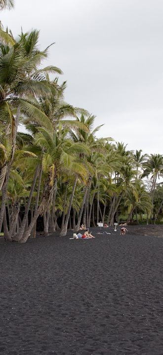 Punalu'u Black Sand Beach on the Big Island, Hawaii