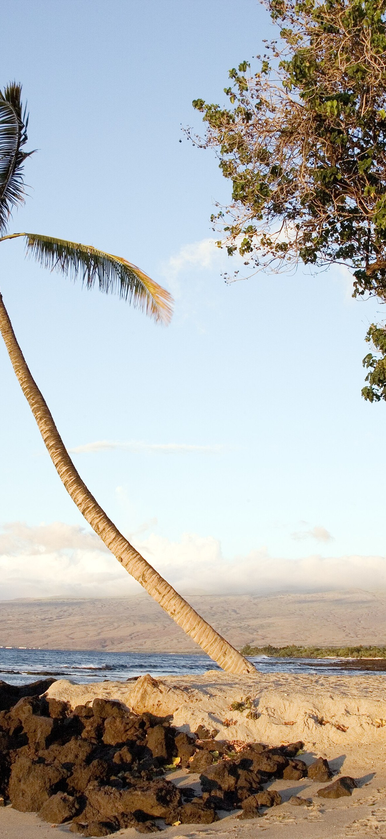 Beach scene on the island of Oahu, Hawaii