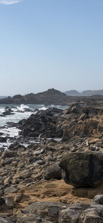 Scenic view of the Pacific Coast in Jenner, California