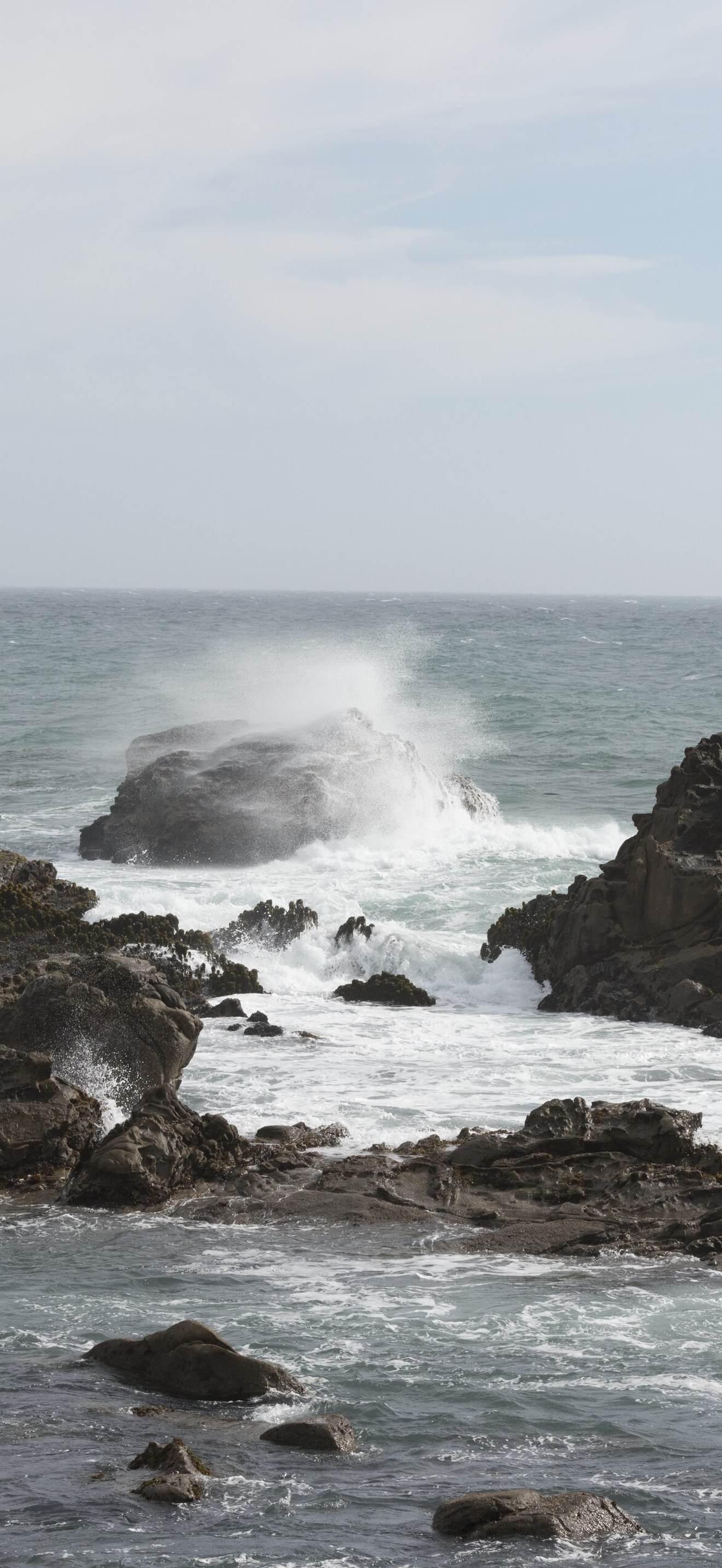 Scenic views of the Pacific Coast in Northern California