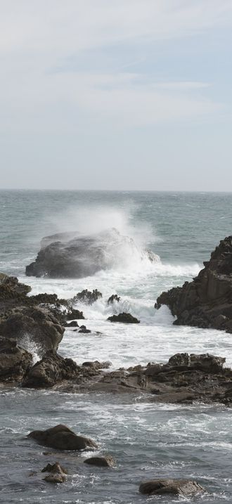 Scenic views of the Pacific Coast in Northern California