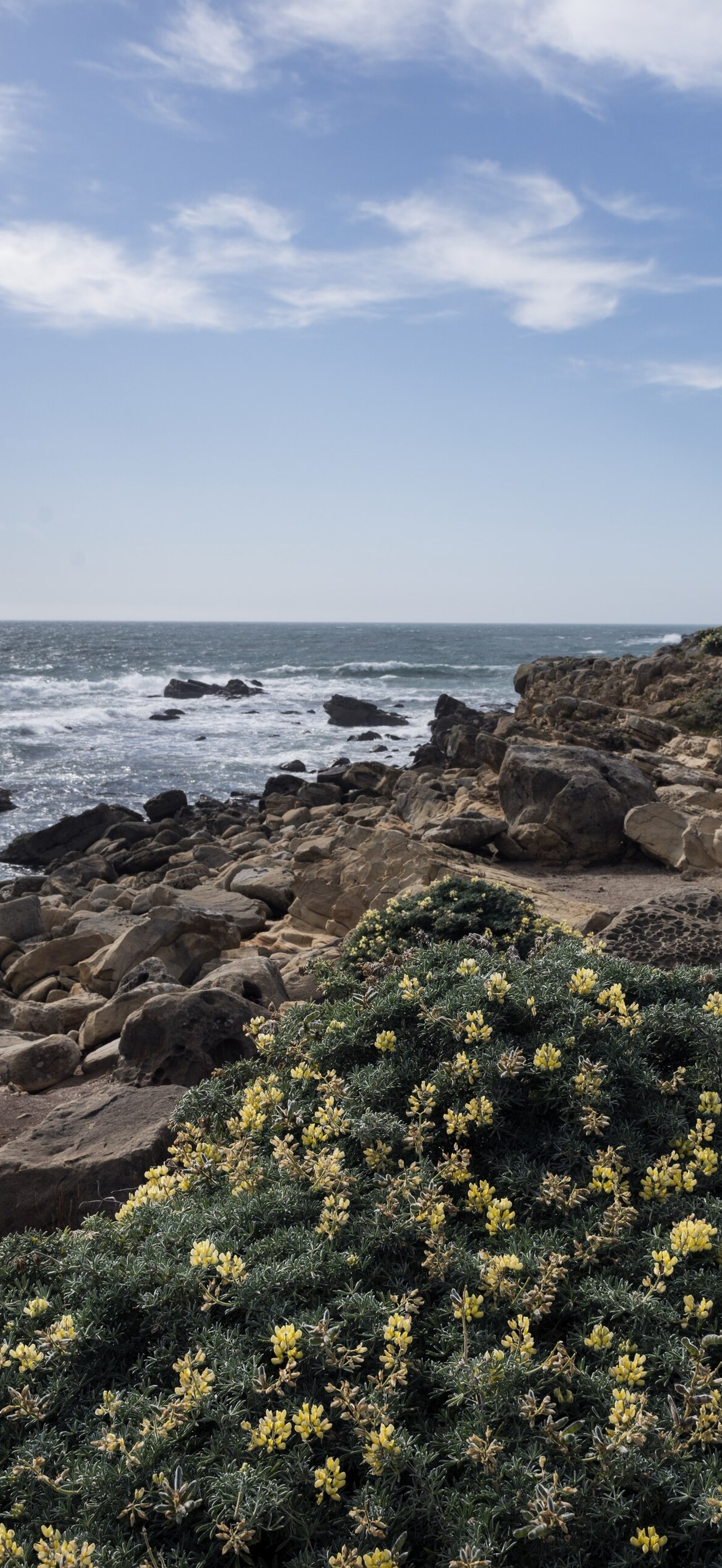 Scenic view of the Pacific Coast in Jenner, California