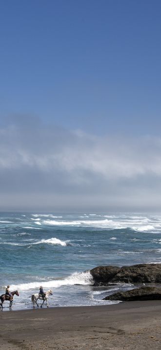Three horseback riders from Ricochet Ridge Ranch enjoy Ten Mile Beach on the Pacific Coast