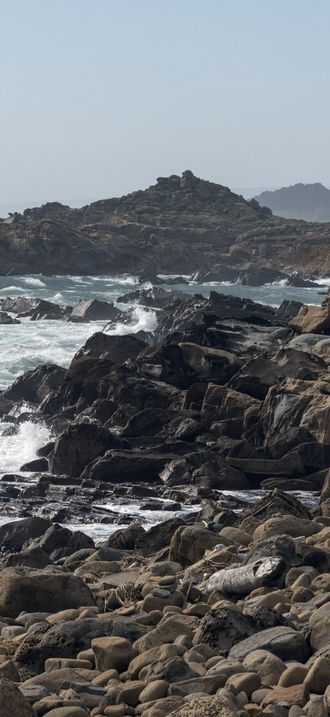 Scenic views of the Pacific Coast in Northern California
