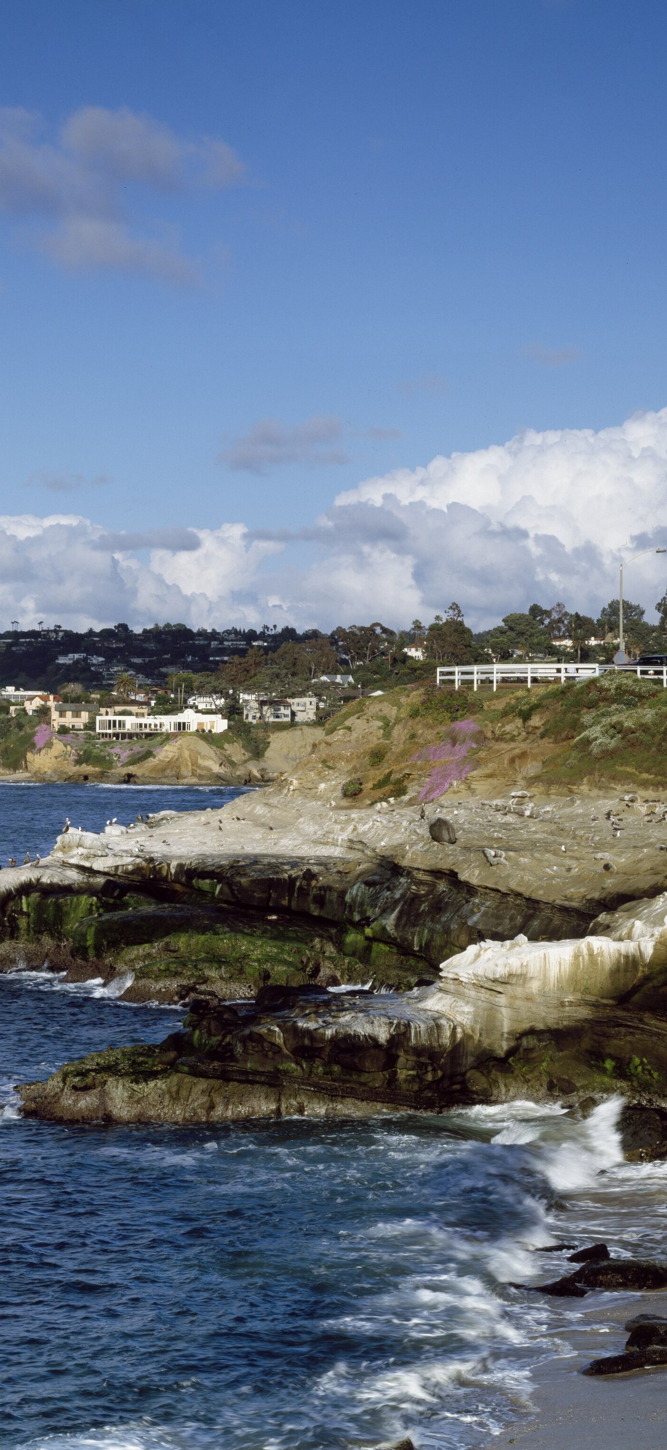 The California Pacific coast as seen from La Jolla, California