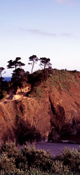 Cypress trees on a small island on the Pacific coast near Carmel, California