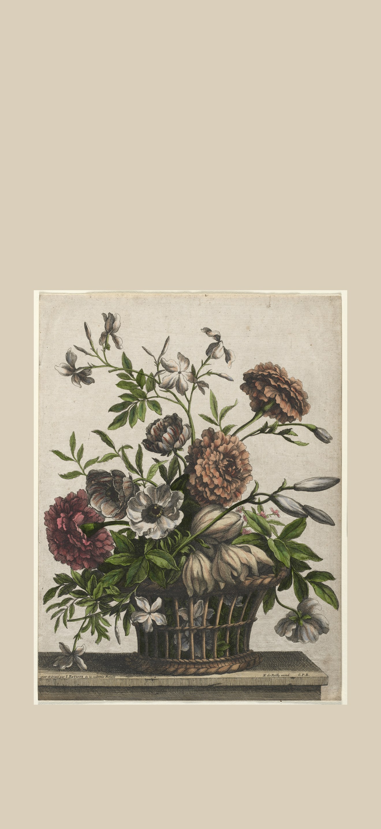 Marigolds, single Anemone, Jasmine. . . .