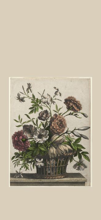 Marigolds, single Anemone, Jasmine. . . .