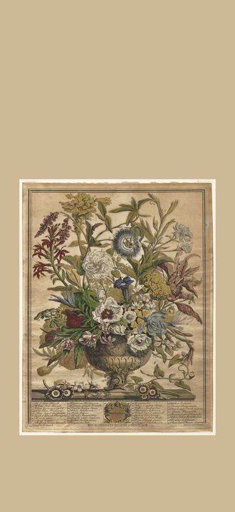 Twelve Months of Flowers:  September