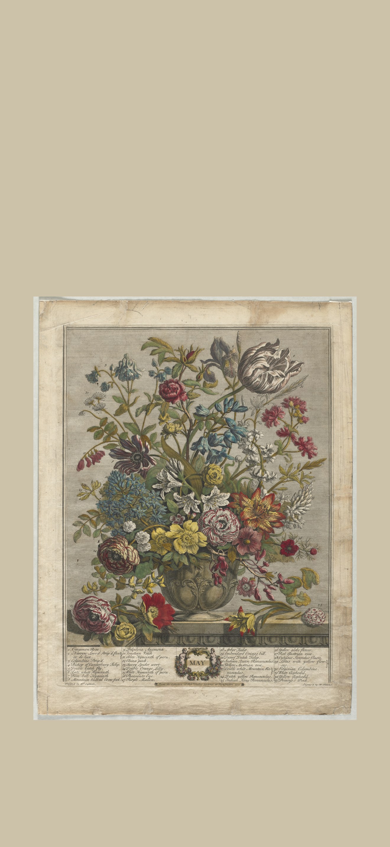 Twelve Months of Flowers:  May