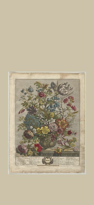 Twelve Months of Flowers:  May