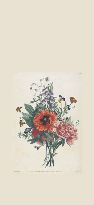 Collection of Flowers and Fruits Painted after Nature:  Bouquet of Foxglove, Clematis, Pan