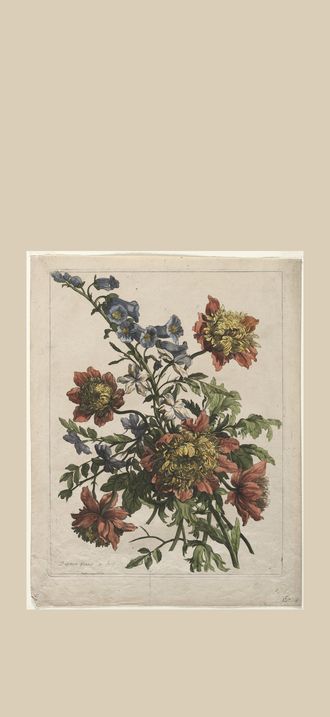 Bouquet
