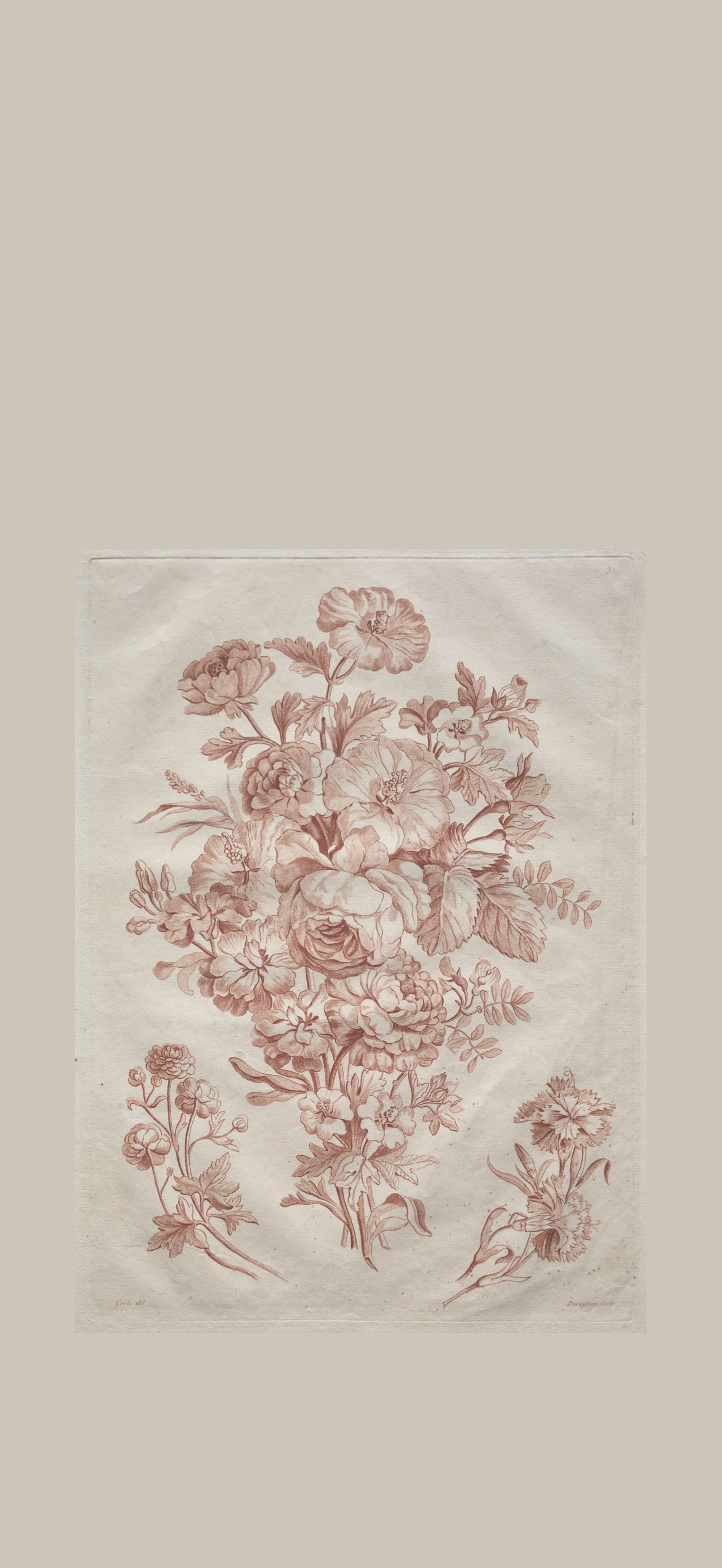 Spray of Flowers