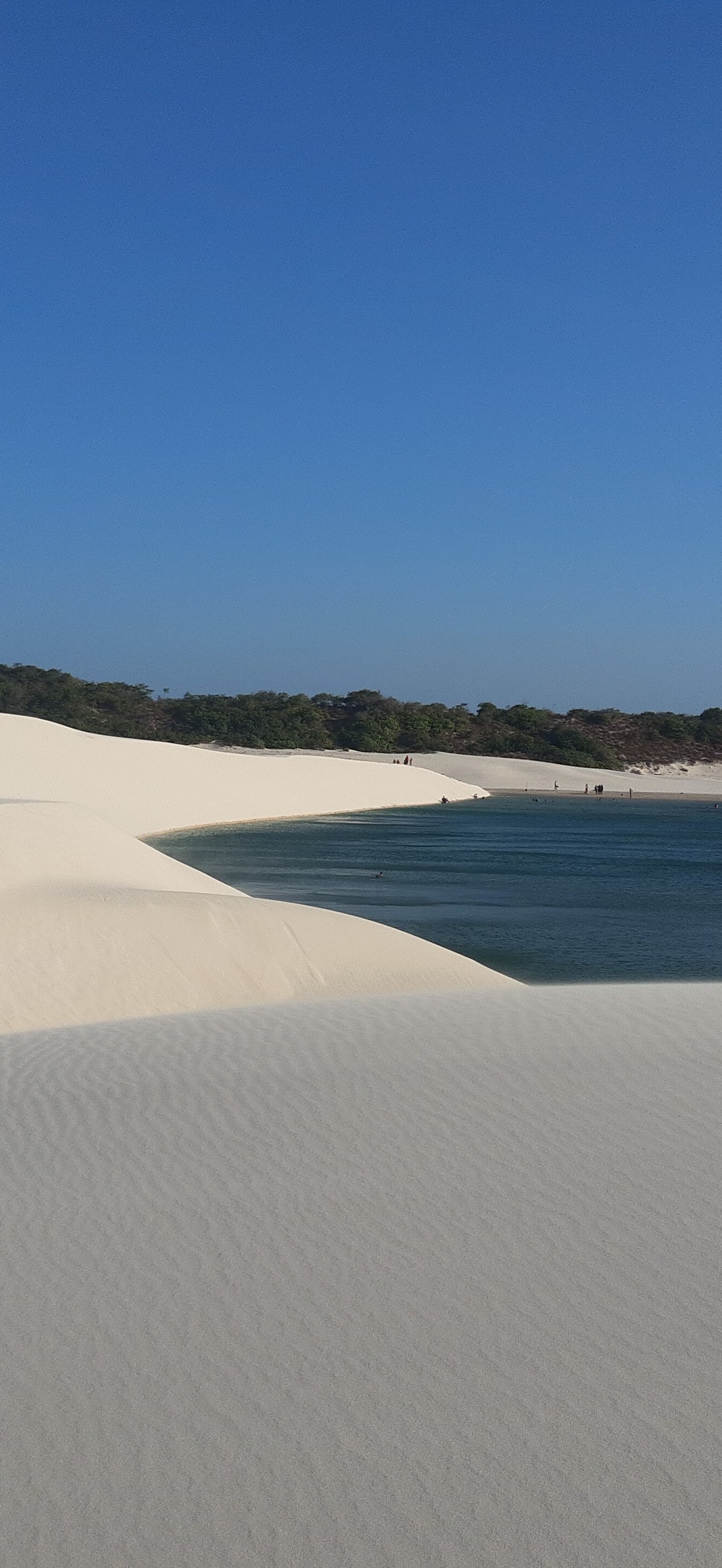 Lagoon in curved sanddunes, wind, Lençóis Maranhenses