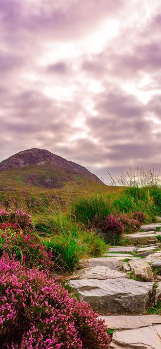 Diamond Hill Path