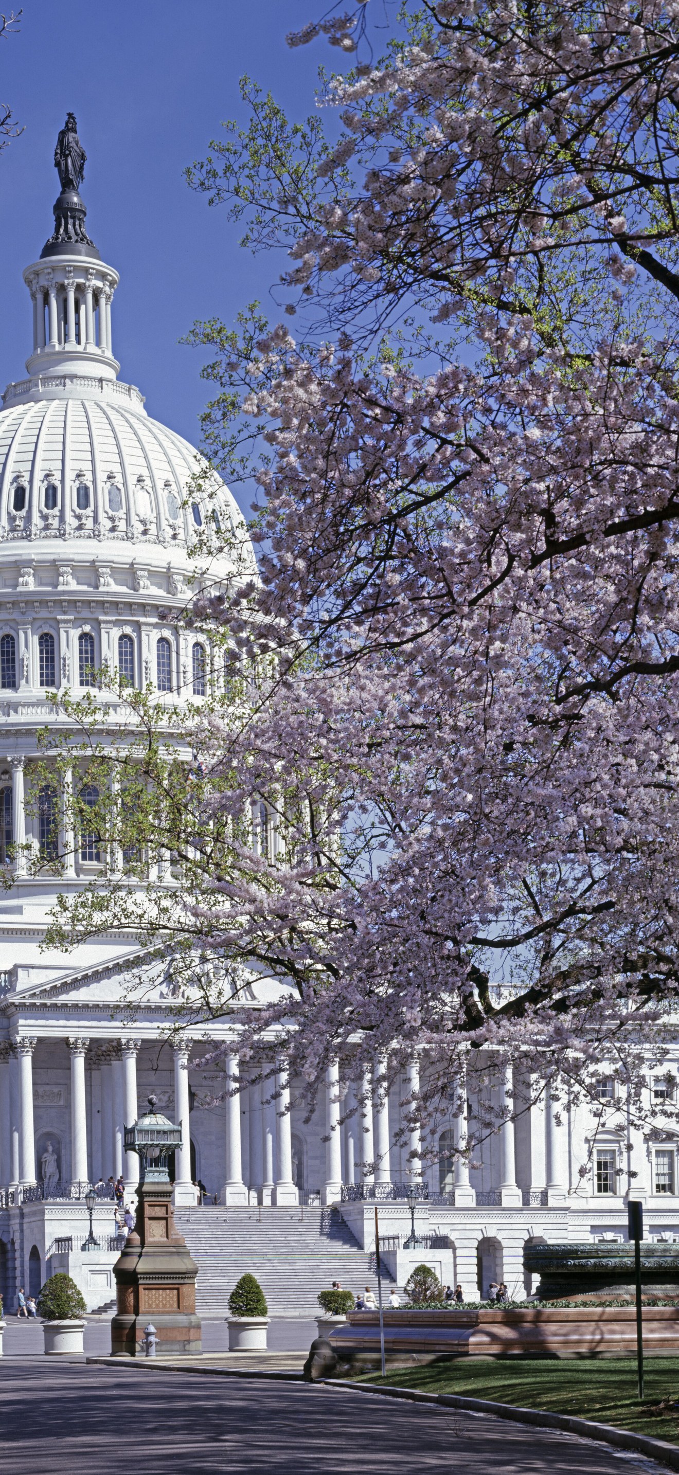Spring day at the U.S. Capitol, Washington, D.C