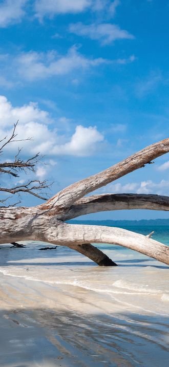 Havelock Island, Sandy lagoon, Andaman Islands