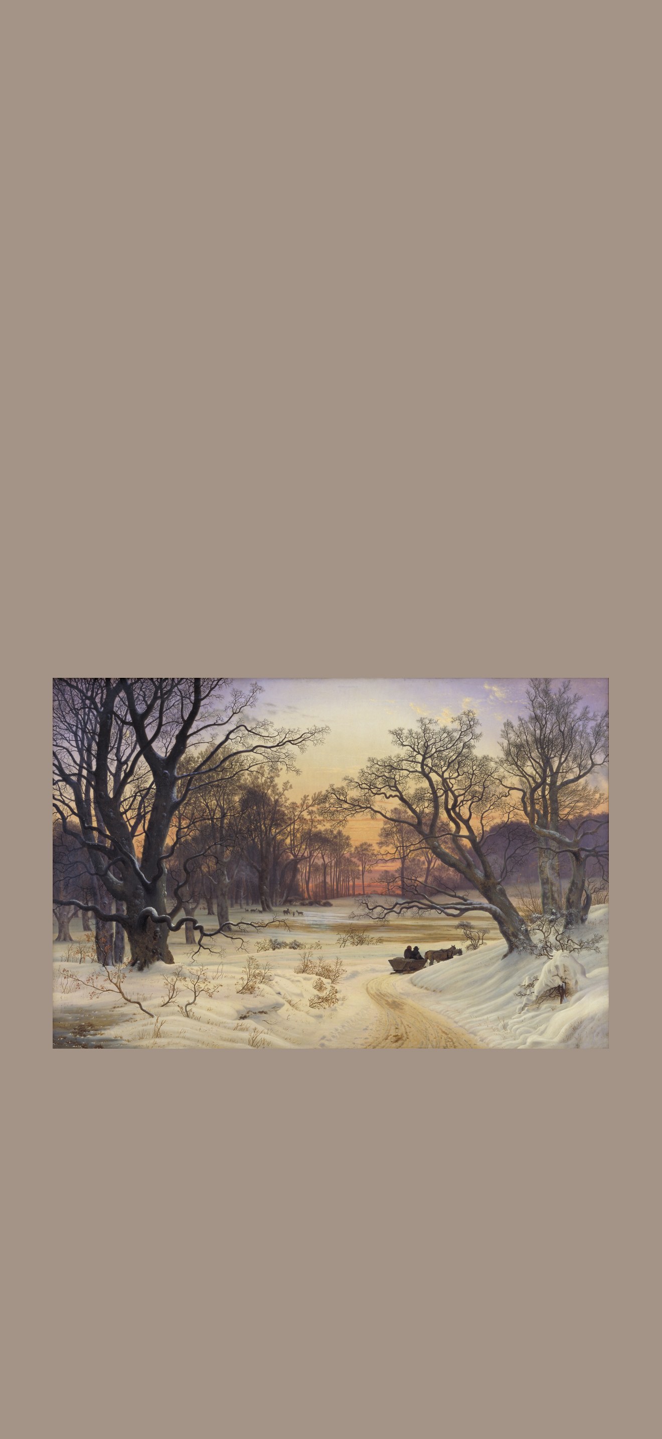 Vinteraften i en skov