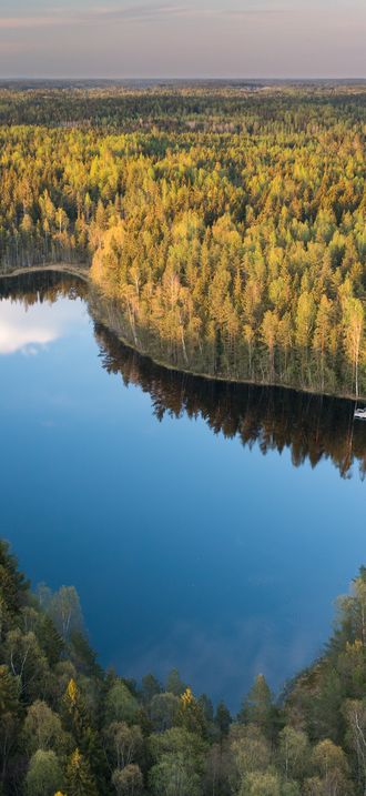Bisajärvi in evening light from the southwest in Sipoonkorpi, Vantaa, Finland