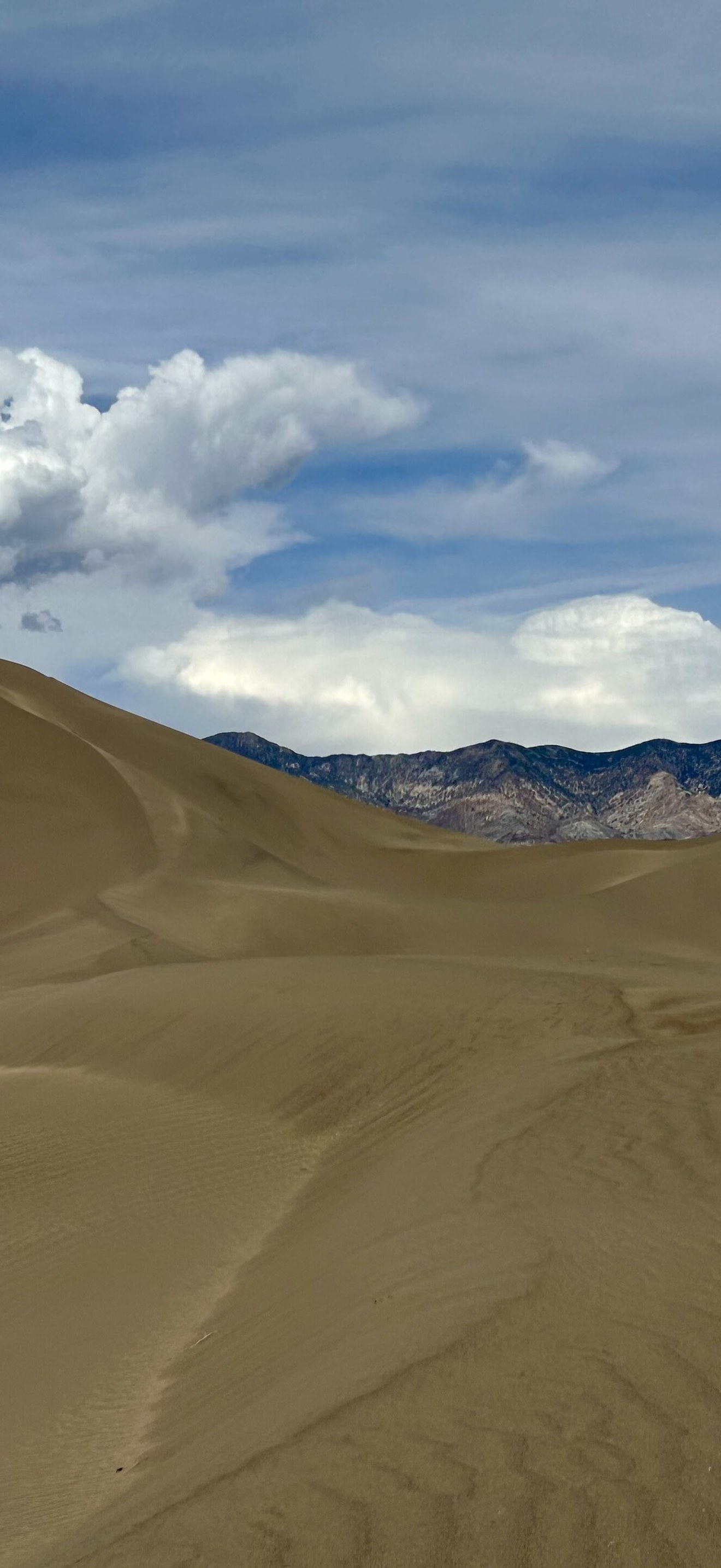 Clayton Valley Sand Dunes and Silver Peak