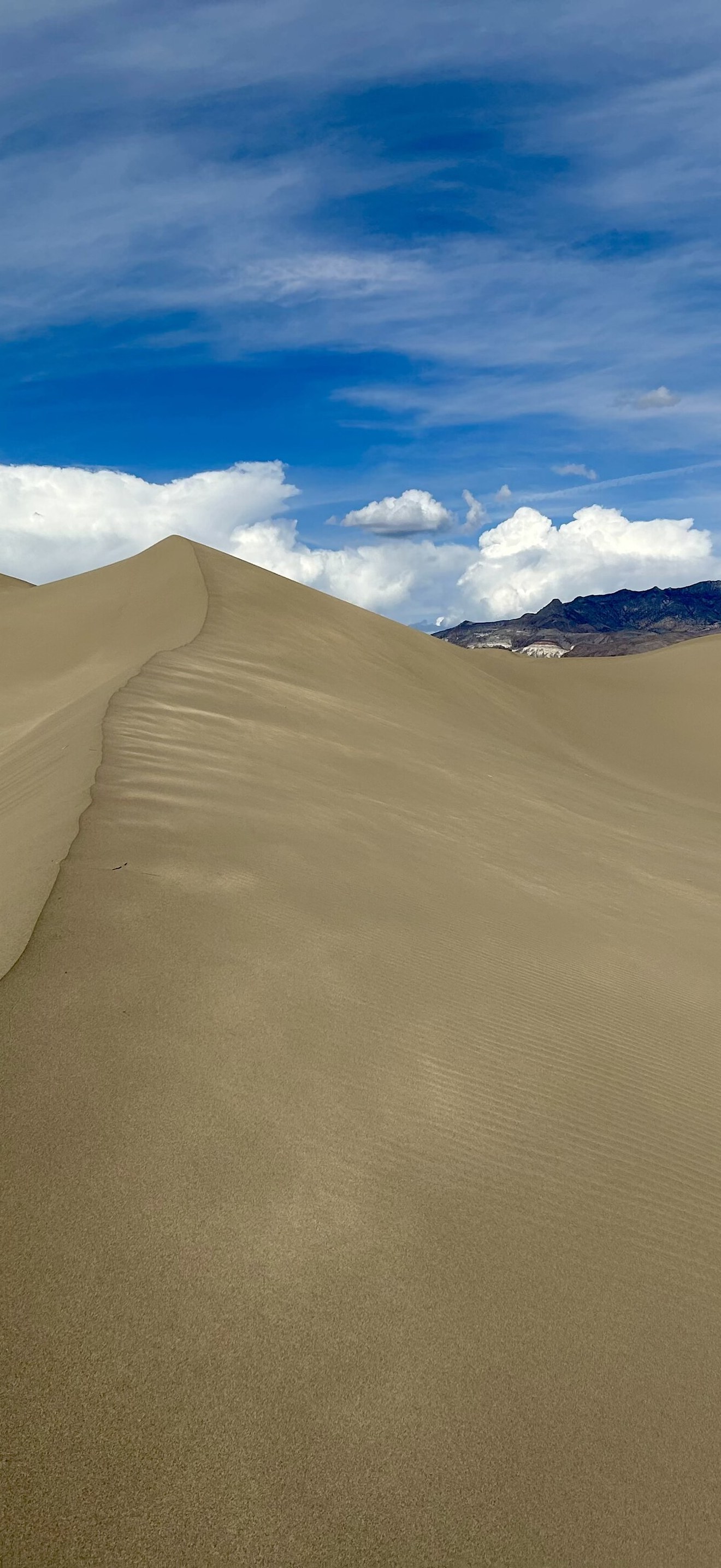 Clayton Valley Sand Dune Ridge