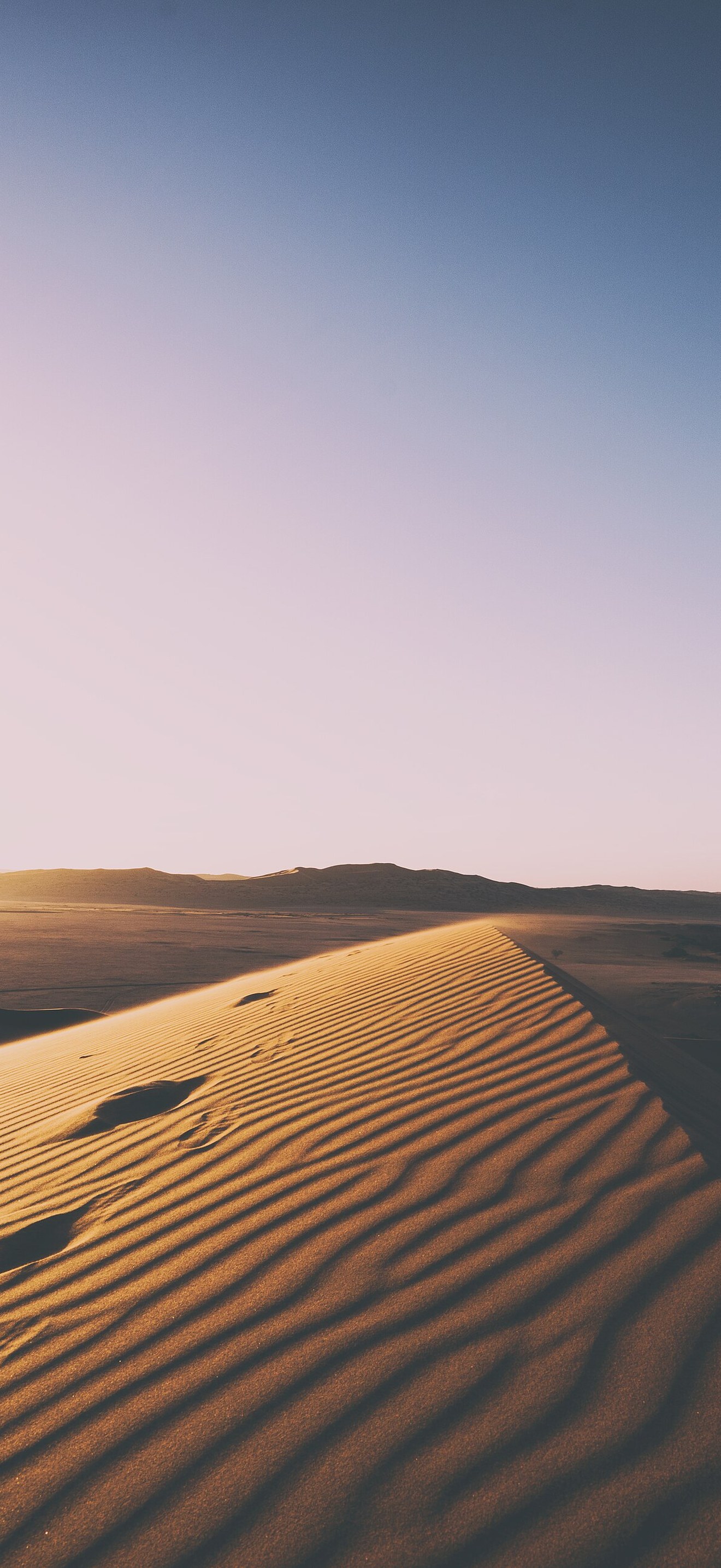 Standing on top of a sand dune