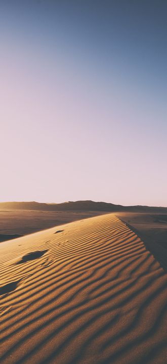 Standing on top of a sand dune