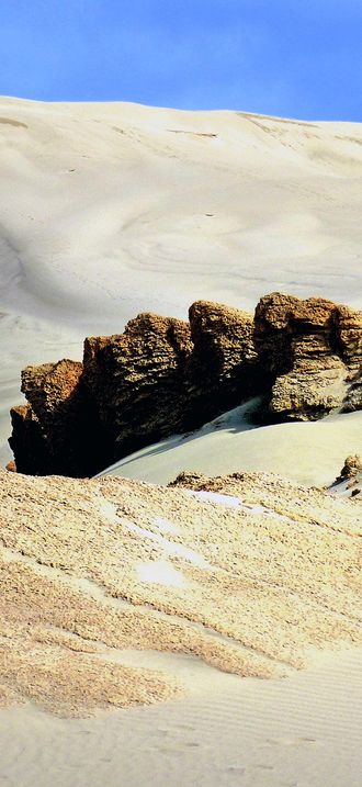 Te Paki sand Dunes.