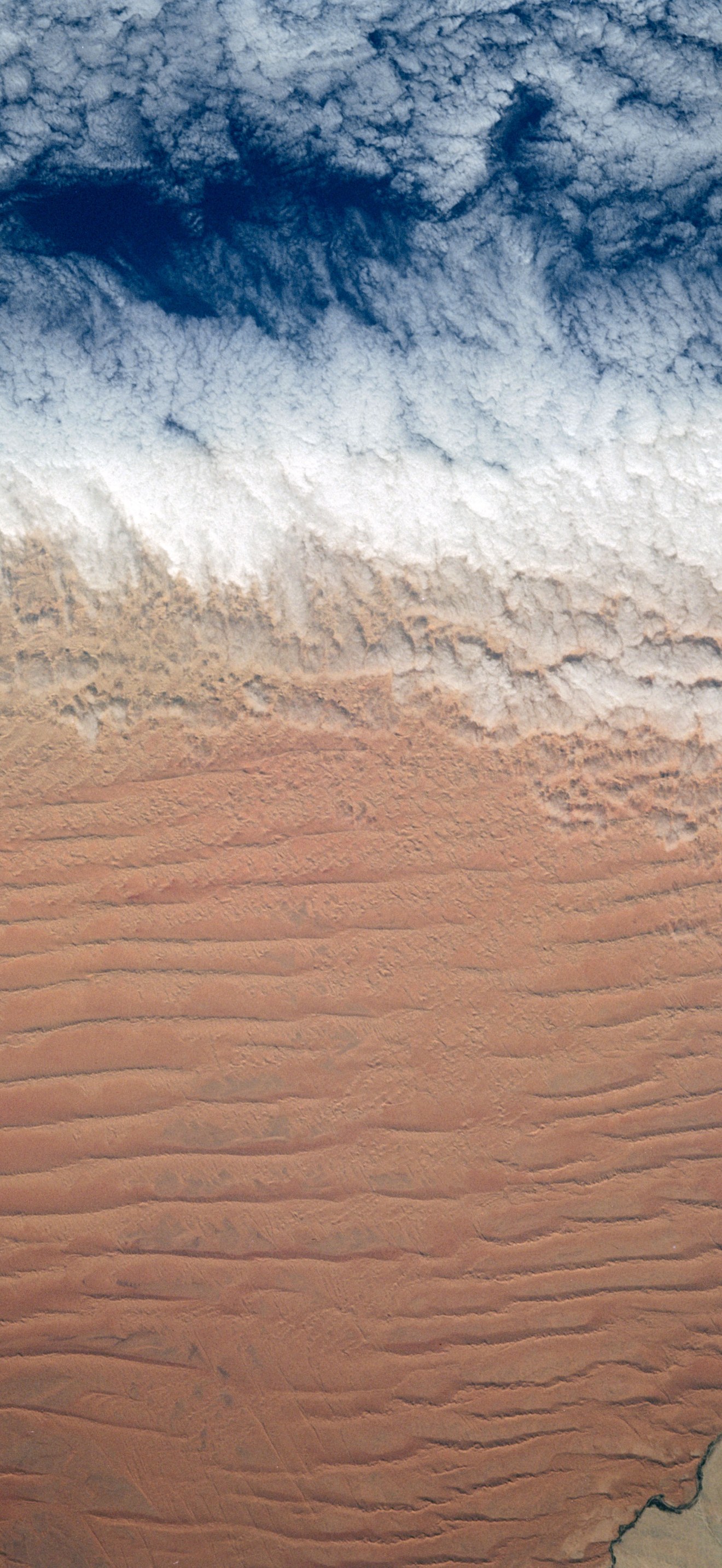 Fog Bank, Namib Desert, Namibia, Africa