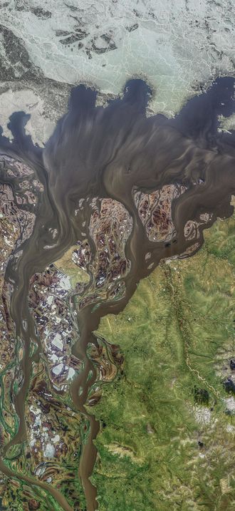 Kolyma's Annual Purge (cropped)