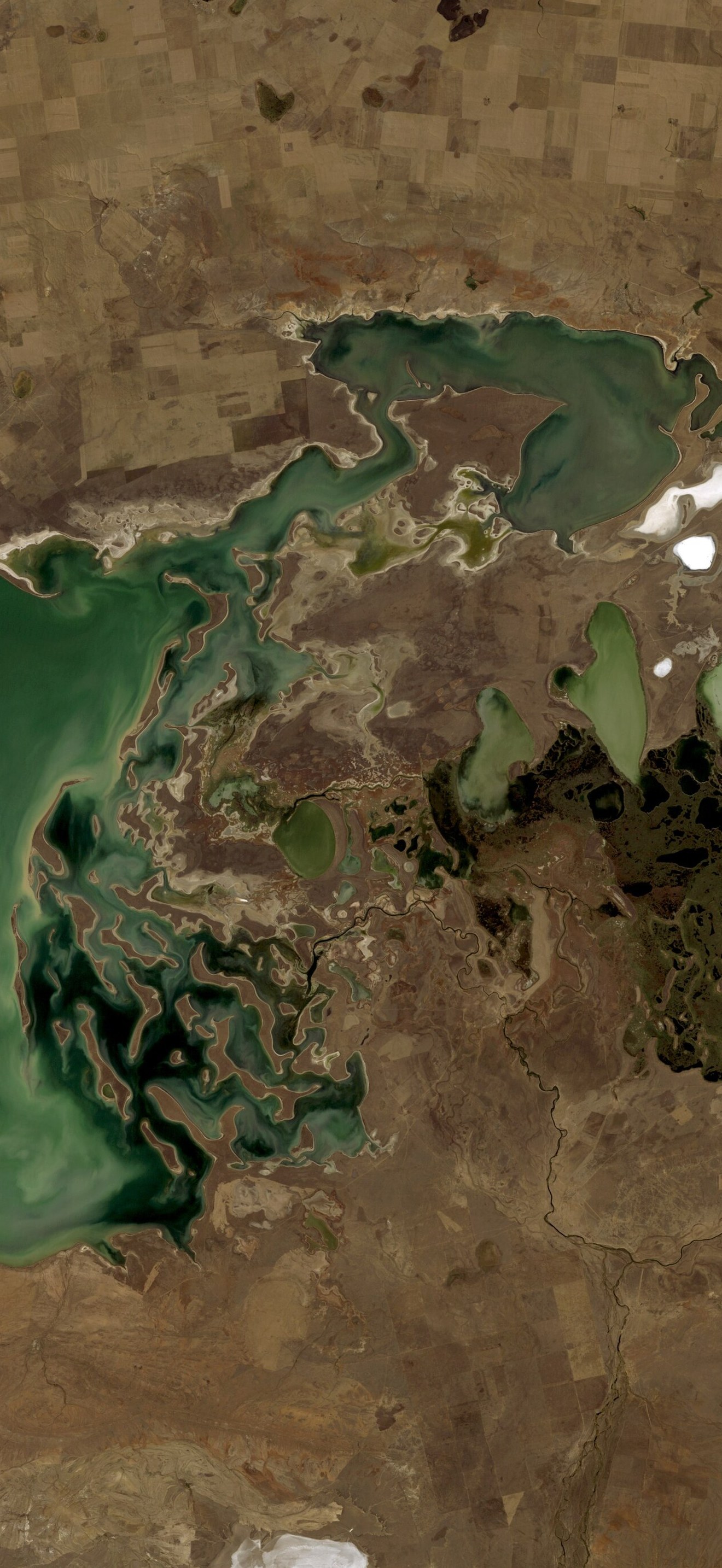 Tengiz lake, Kazakhstan, near natural colors satellite image LandSat-5