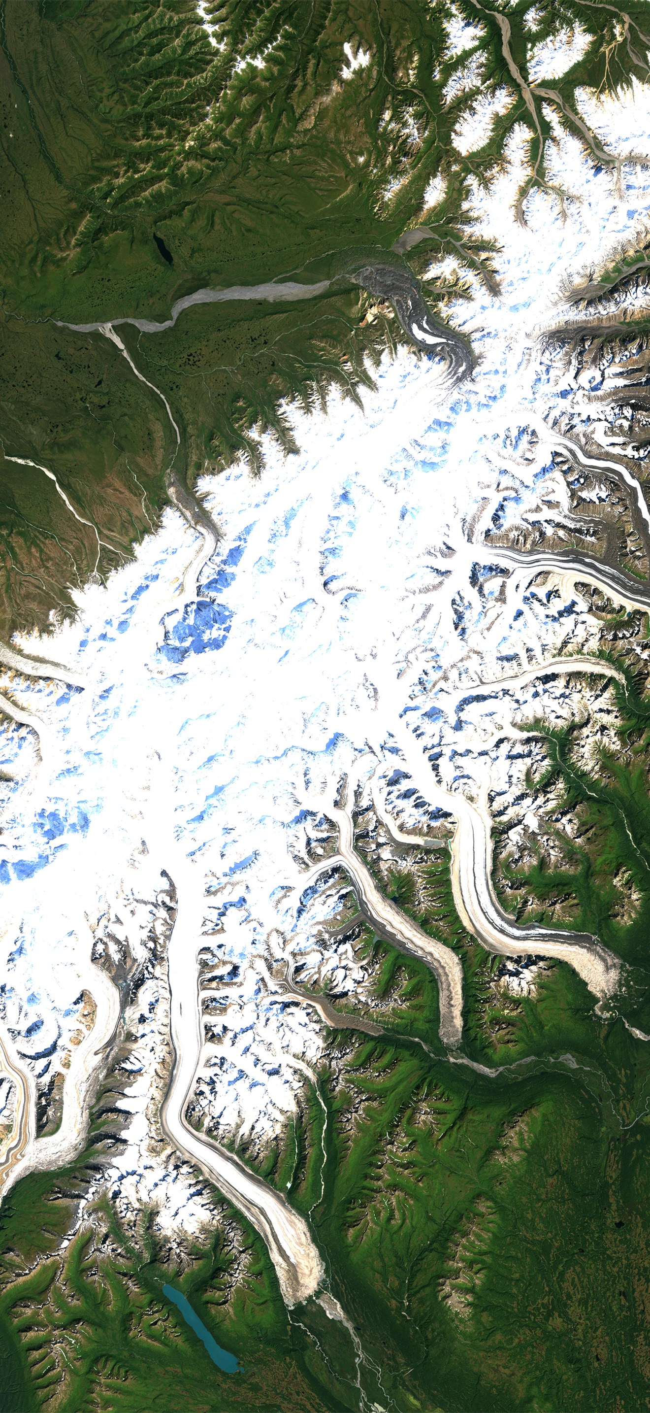 Denali National Park - Flickr - NASA Goddard Photo and Video