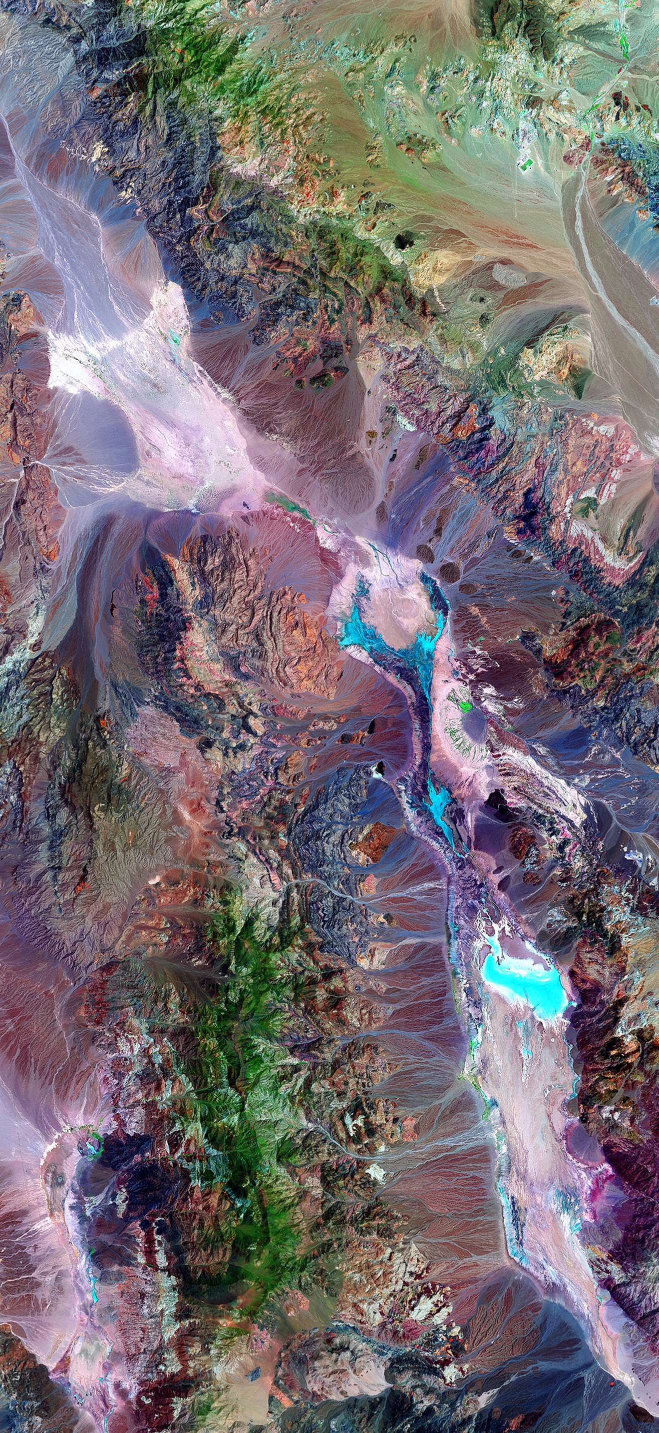 Death valley vegetation aerial view