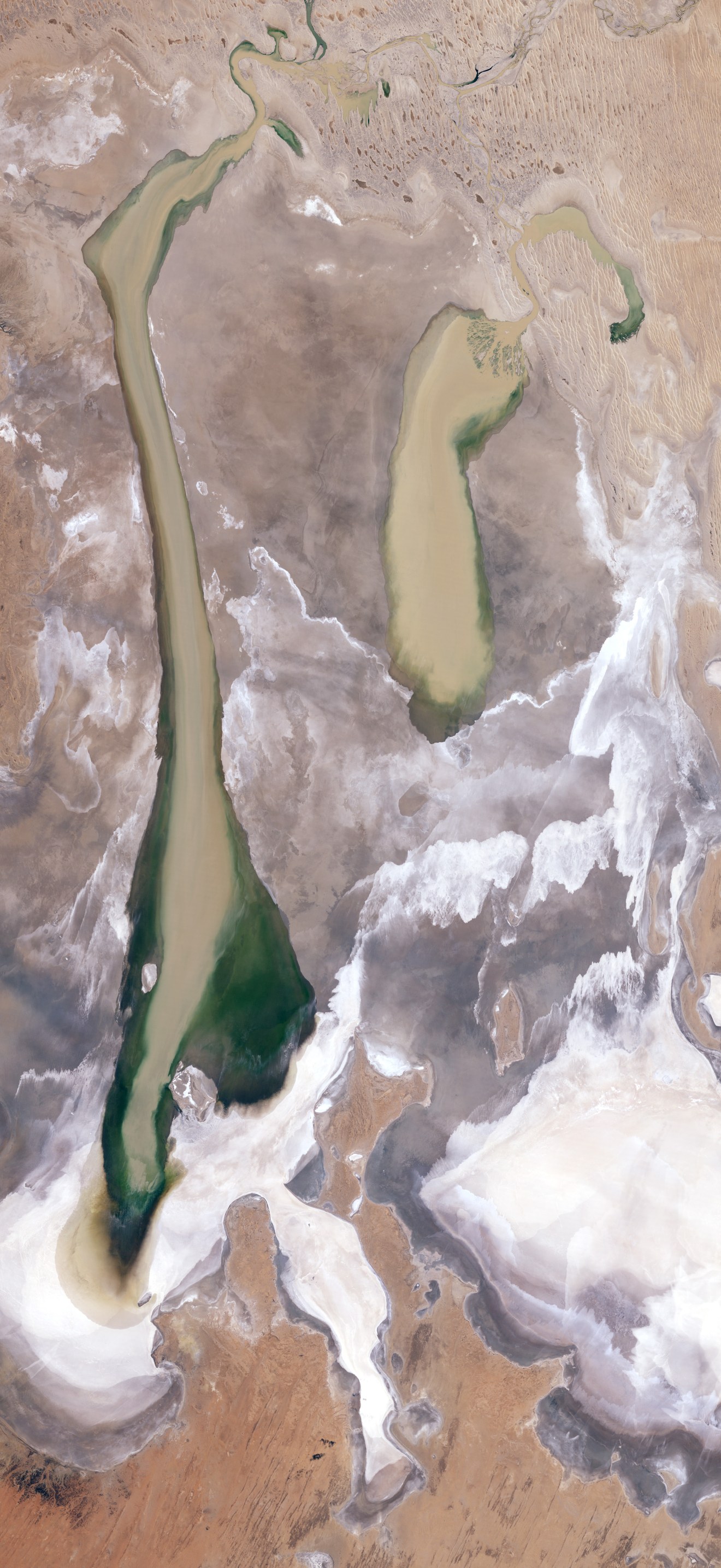 Lake Eyre Filling Peaks