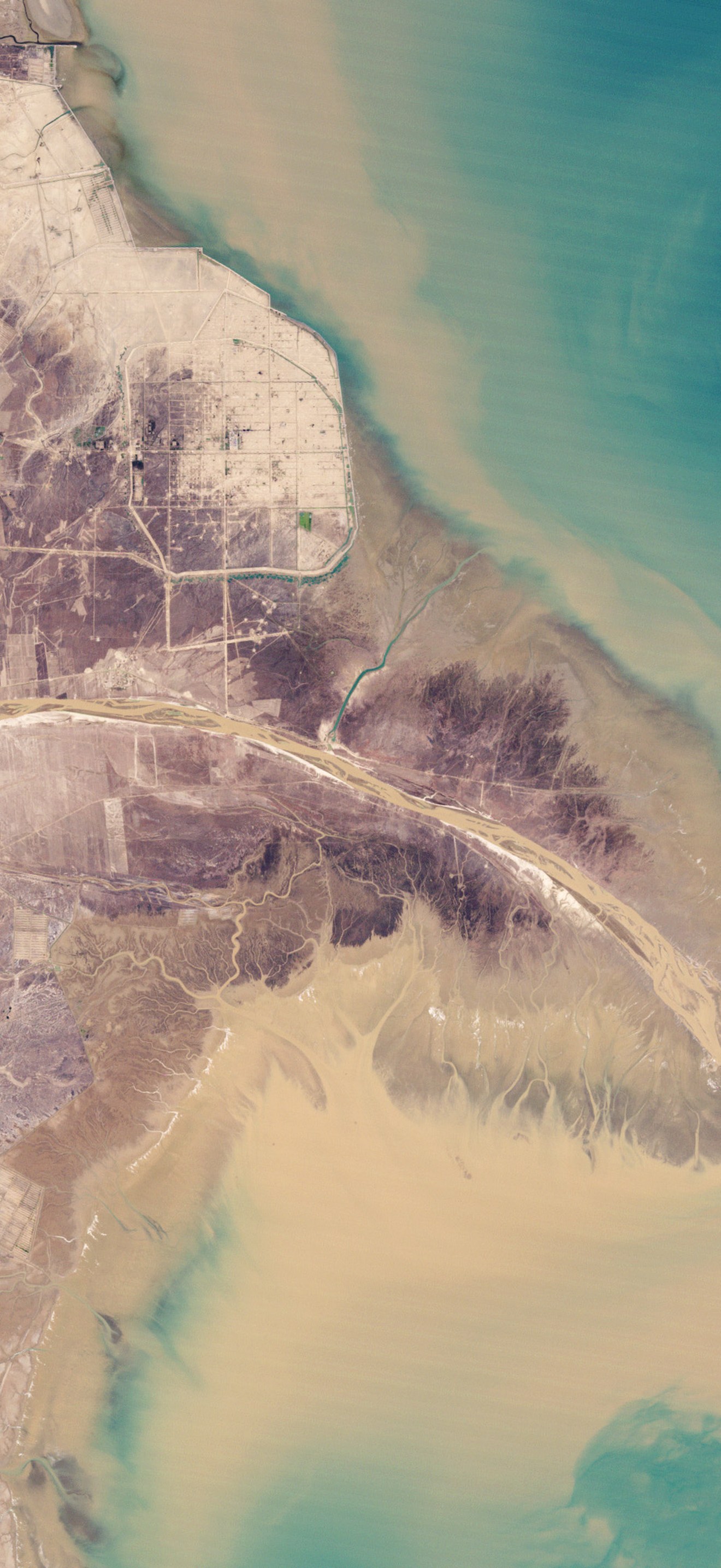 Yellow River Delta