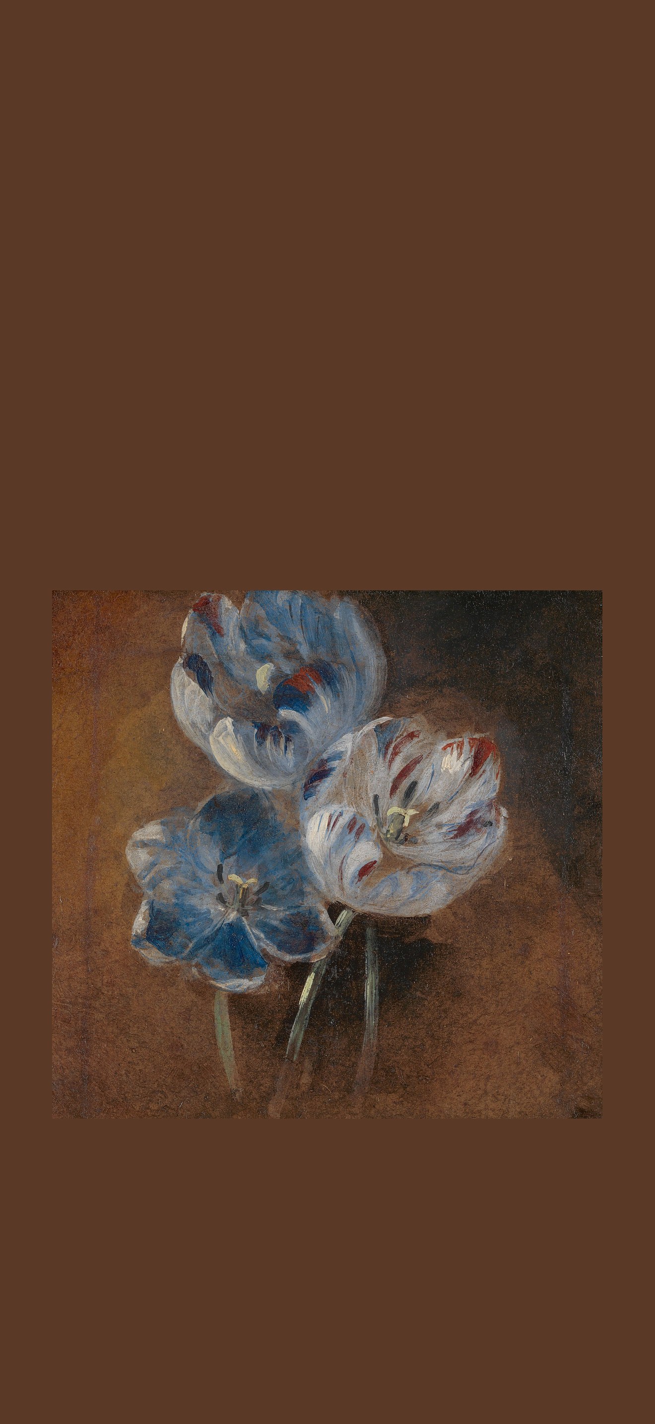 Attributed to John Constable - Study of Three Parrot Tulips, ca. 1832, B2014.5.1