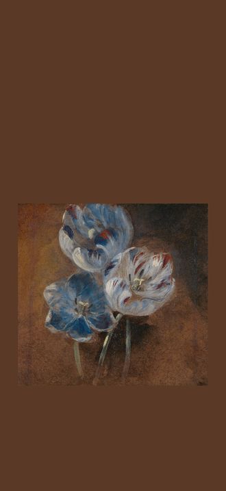 Attributed to John Constable - Study of Three Parrot Tulips, ca. 1832, B2014.5.1