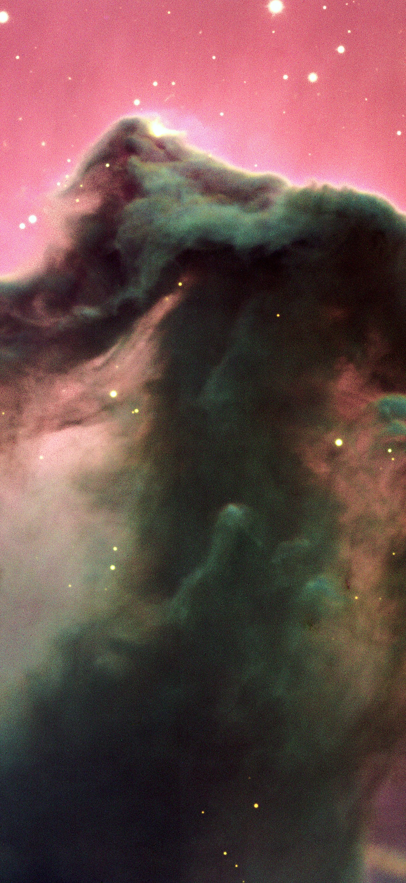 The Horsehead Nebula*