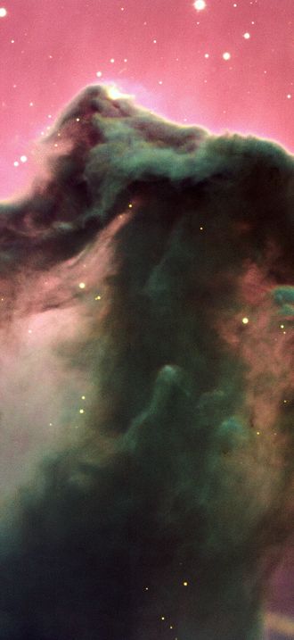 The Horsehead Nebula*