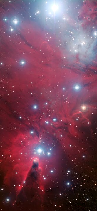 NGC 2264 and the Christmas Tree cluster*