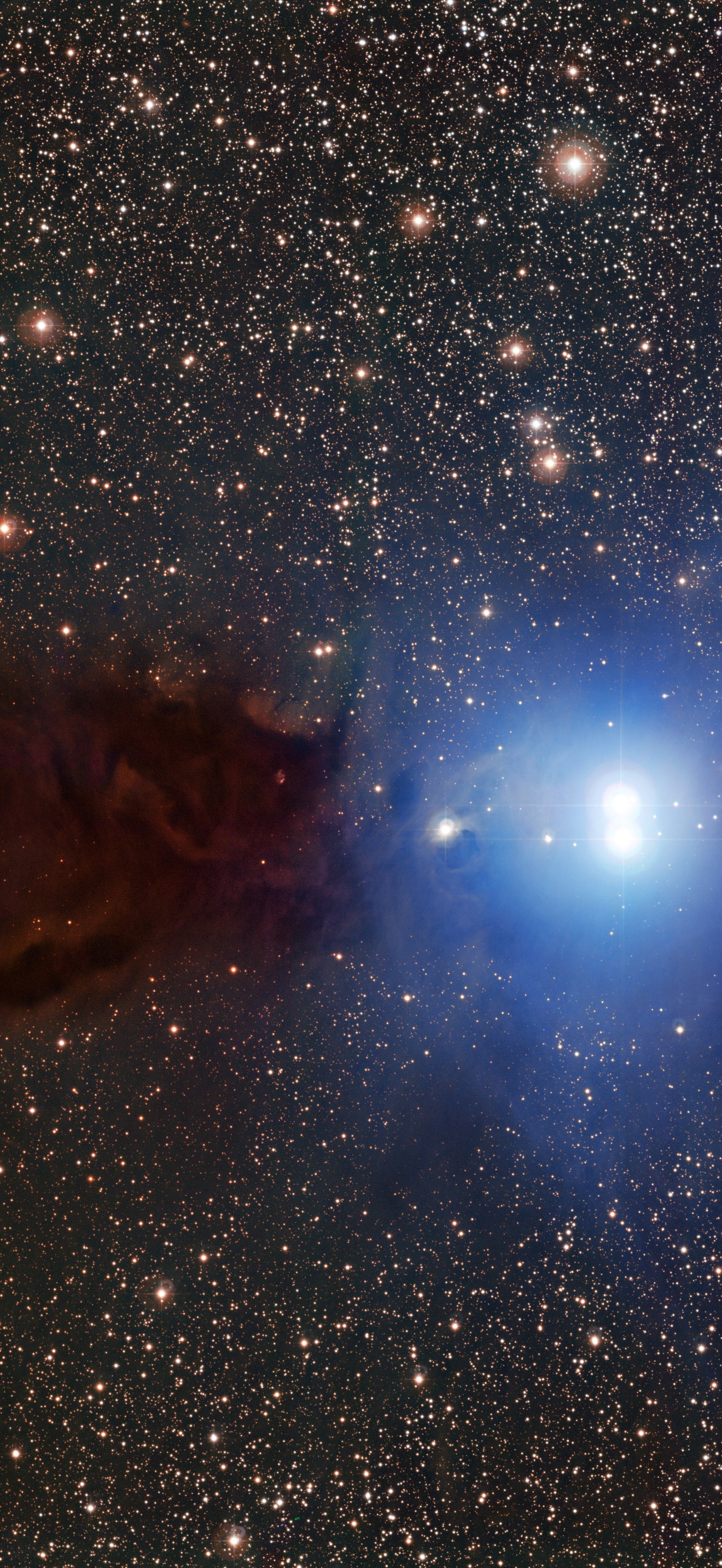 The Lupus 3 dark cloud and associated hot young stars
