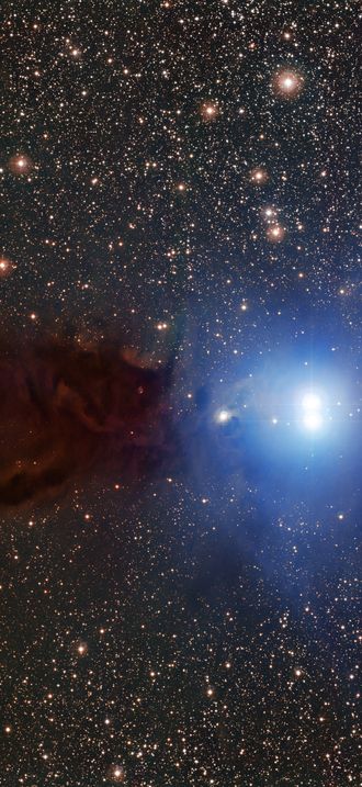 The Lupus 3 dark cloud and associated hot young stars