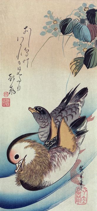 Mandarin duck woodcut3